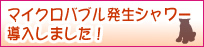 春の健康診断キャンペーン