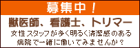 獣医師募集中！