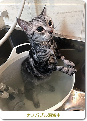 ナノバブル温浴中