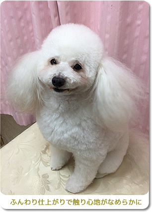 ふんわりサラサラ仕上げ