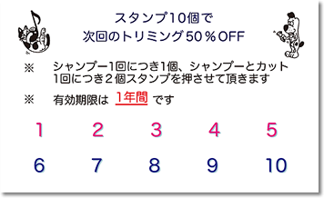 ポイントカード裏